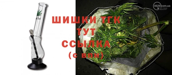 молекула духа Балахна