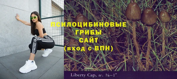 MDMA Беломорск