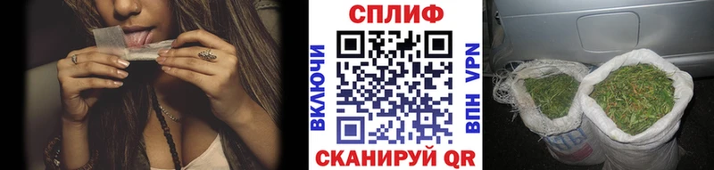 Конопля семена  где найти наркотики  Мирный 